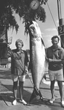 Billy Pate - 188lb  16 lb tippet  Homosassa